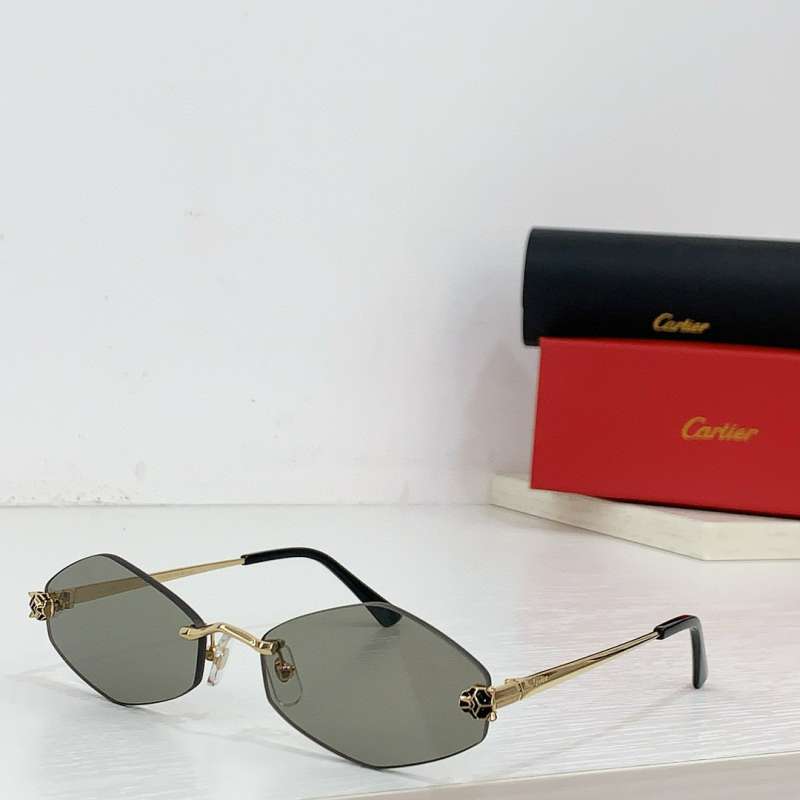 Picture of Cartier Sunglasses _SKUfw55619961fw